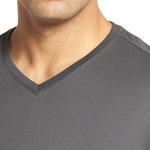 Men Regular Fit V-Neck T-Shirt